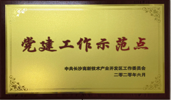 长沙高新区党工委授予中共太阳成集团tyc9728股份有限公司委员会“党建工作示范点”“优秀党务工作者”荣誉称号