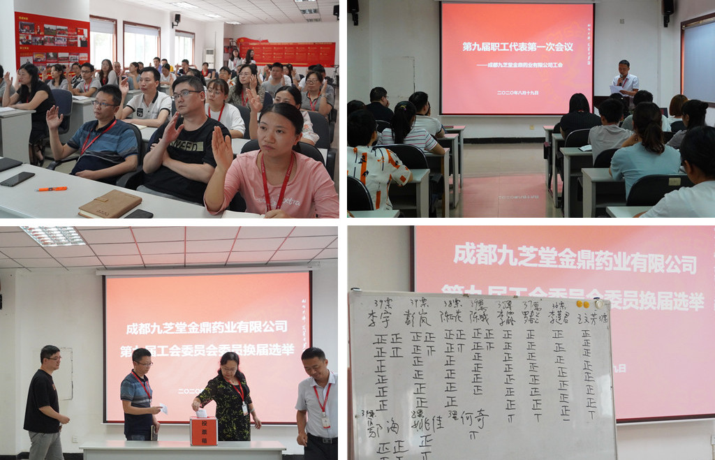 成都太阳成集团tyc9728金鼎药业有限公司工会召开第九届职工代表第一次会议