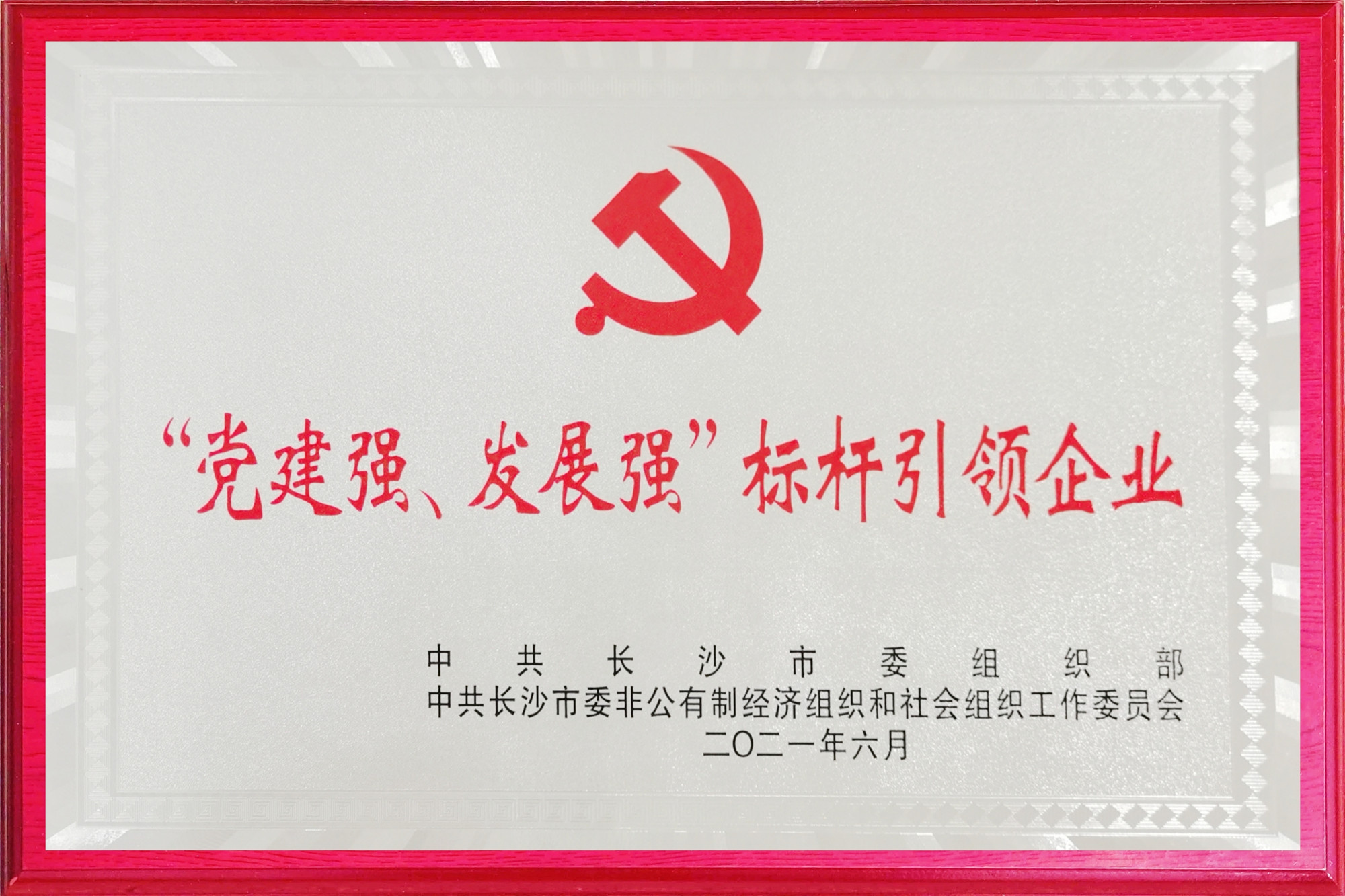 太阳成集团tyc9728荣获长沙市两新领域“党建强、发展强”标杆引领企业